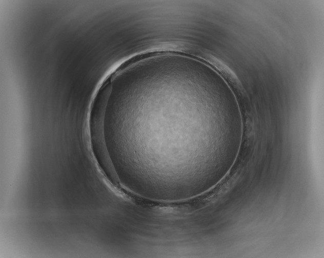 X0000113300792200909211120