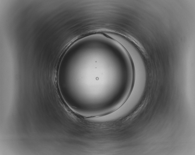 X0000113300793200909211120