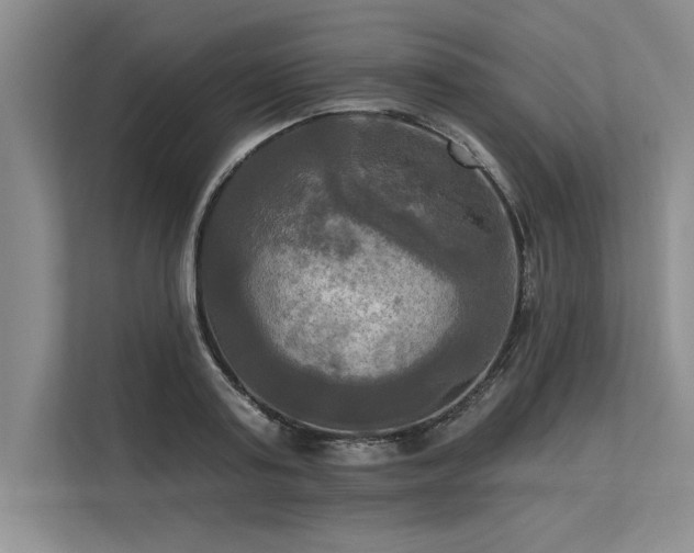 X0000113300795200909211120