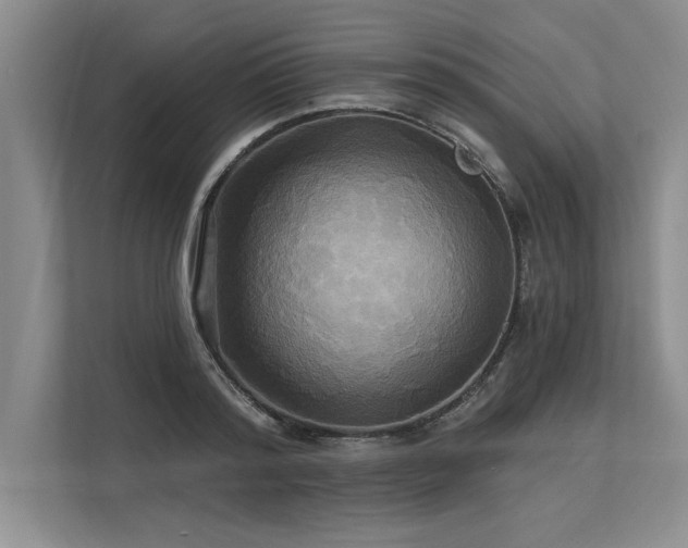 X0000113300796200909211120