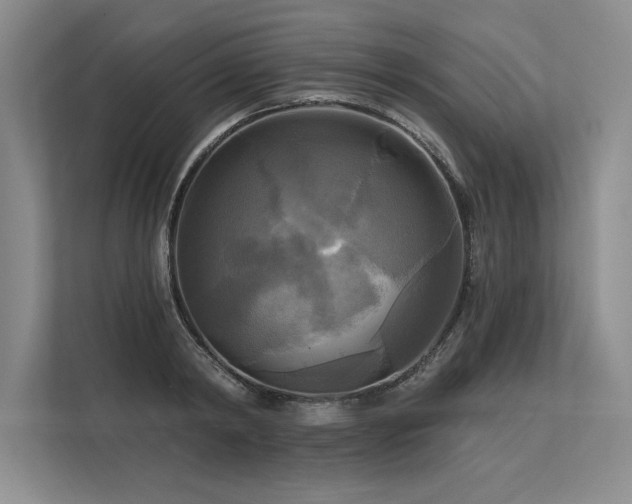 X0000113300798200909211120