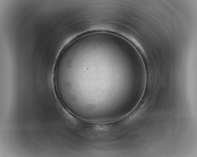 X0000113300799200909211120