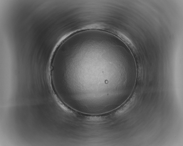 X0000113300800200909211120