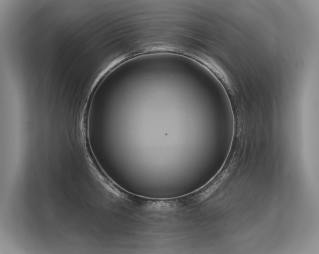 X0000113300806200909211120