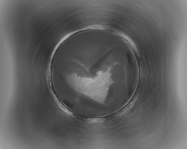 X0000113300808200909211120