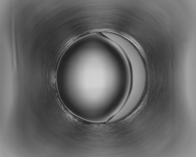 X0000113300809200909211120