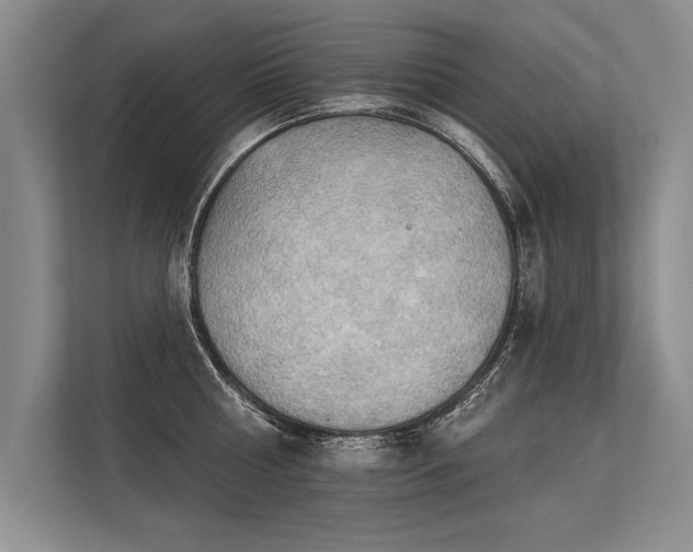 X0000113300810200909211120