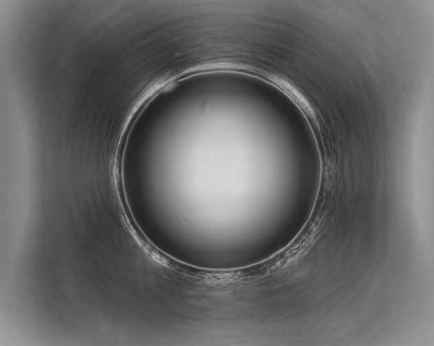 X0000113300813200909211120