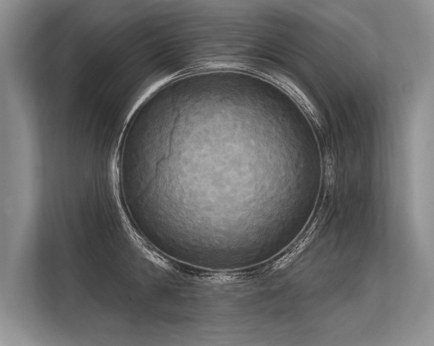 X0000113300814200909211120