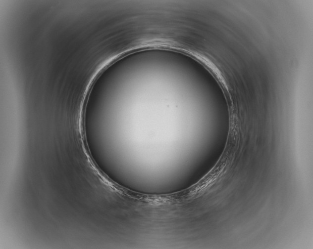 X0000113300815200909211120