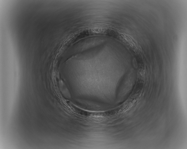 X0000113300817200909211119