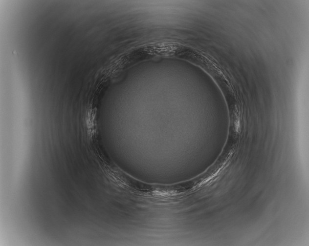 X0000113300818200909211119