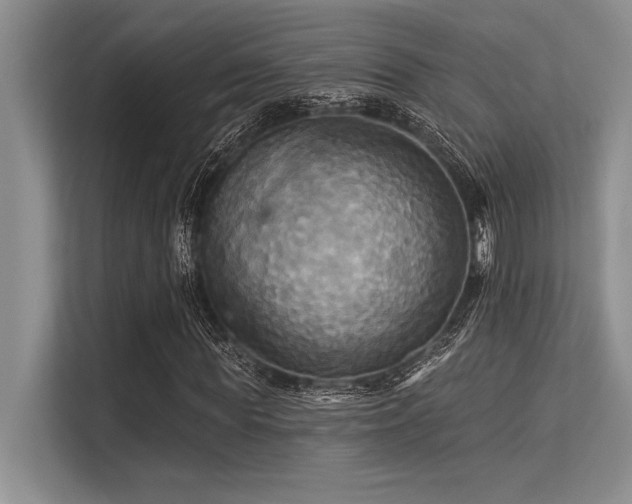 X0000113300819200909211119