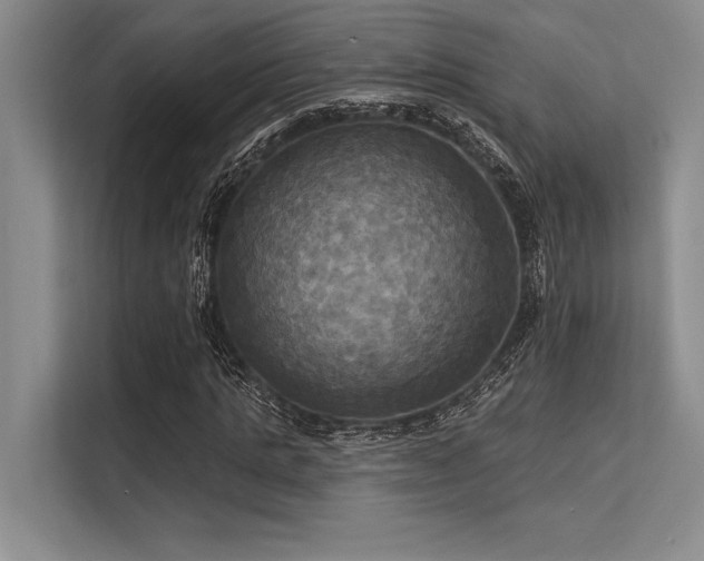 X0000113300821200909211119