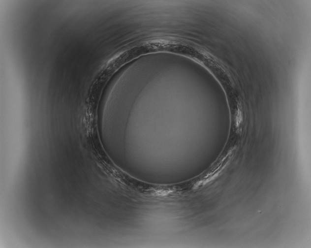 X0000113300822200909211119