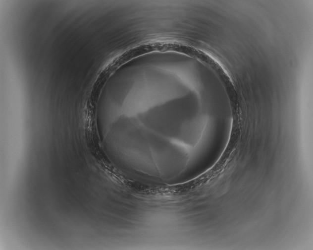 X0000113300823200909211119