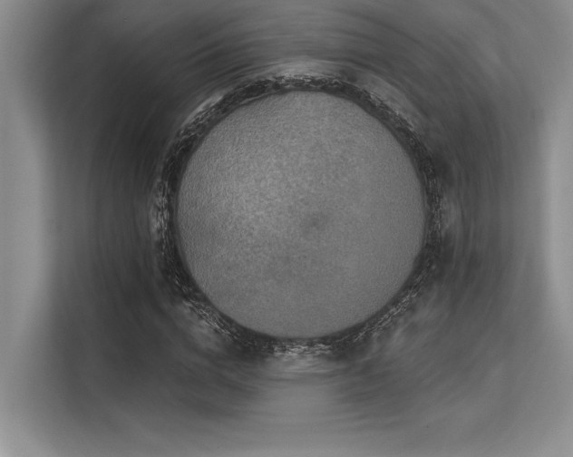 X0000113300824200909211119