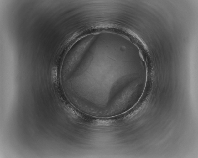 X0000113300825200909211119