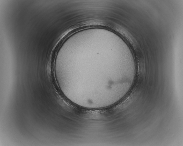 X0000113300828200909211119