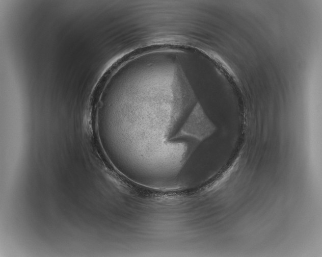 X0000113300830200909211119