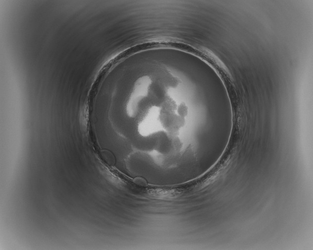 X0000113300831200909211119