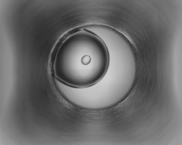 X0000113300832200909211119