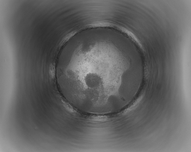 X0000113300833200909211119