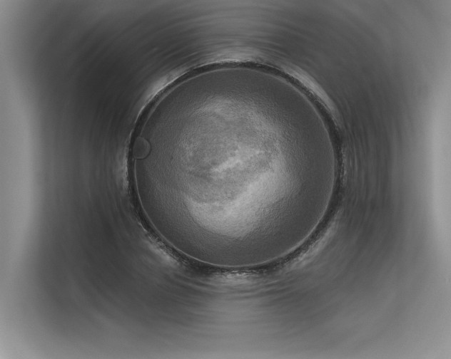 X0000113300834200909211119