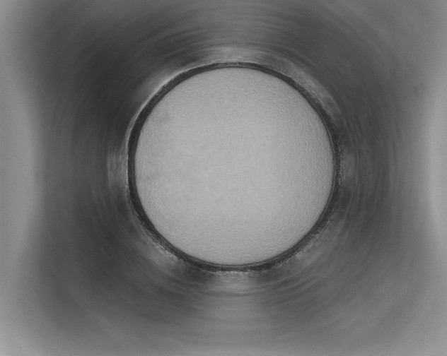 X0000113300836200909211119