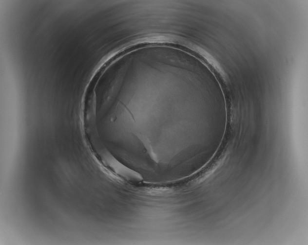 X0000113300837200909211119