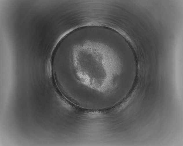 X0000113300838200909211119