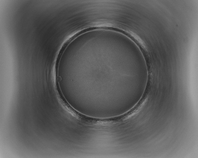 X0000113300840200909211119