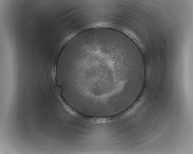 X0000113300841200909211119