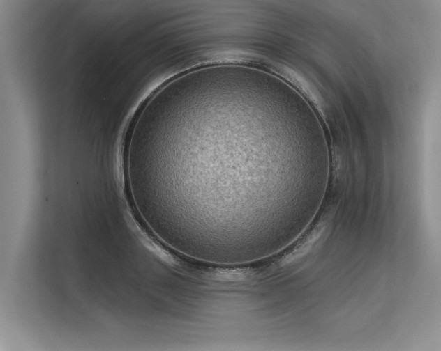 X0000113300843200909211119