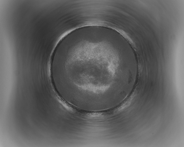 X0000113300846200909211119