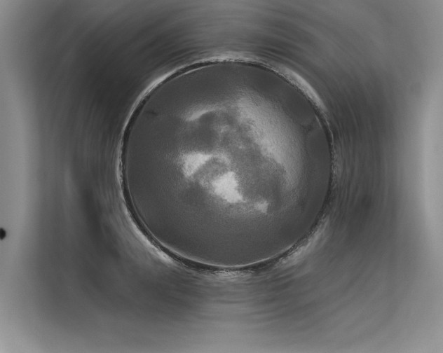 X0000113300847200909211119