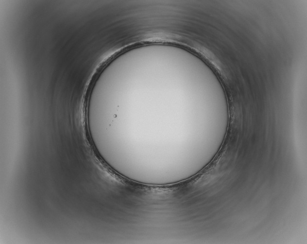 X0000113300848200909211119