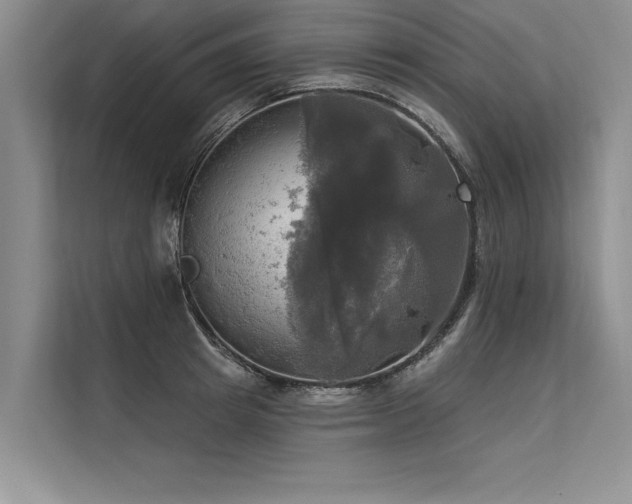 X0000113300849200909211120