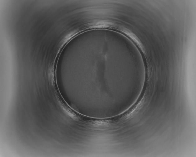 X0000113300850200909211120