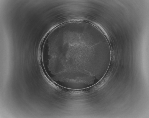 X0000113300851200909211120