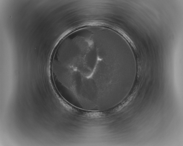 X0000113300853200909211120