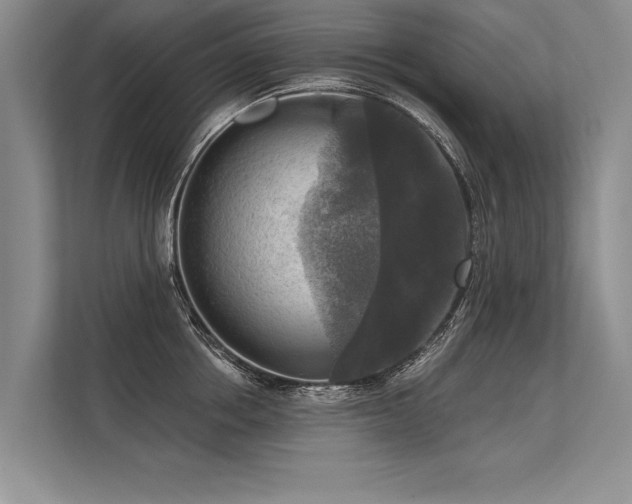 X0000113300858200909211120