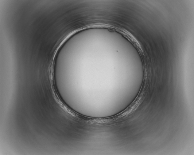 X0000113300860200909211120