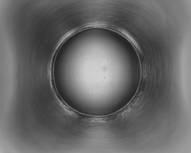 X0000113300861200909211120