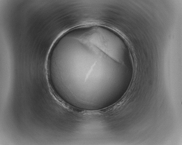 X0000113300864200909211120