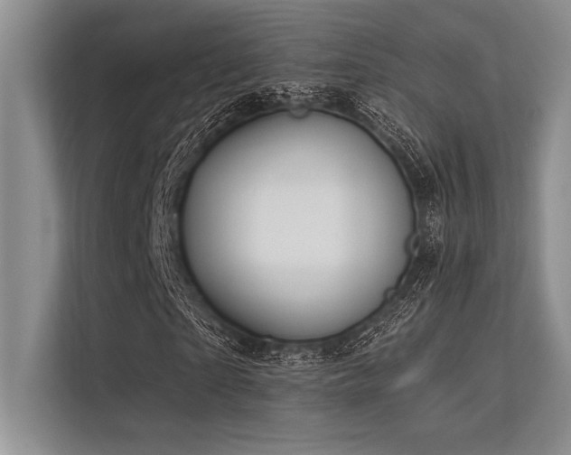 X0000113300865200909211119