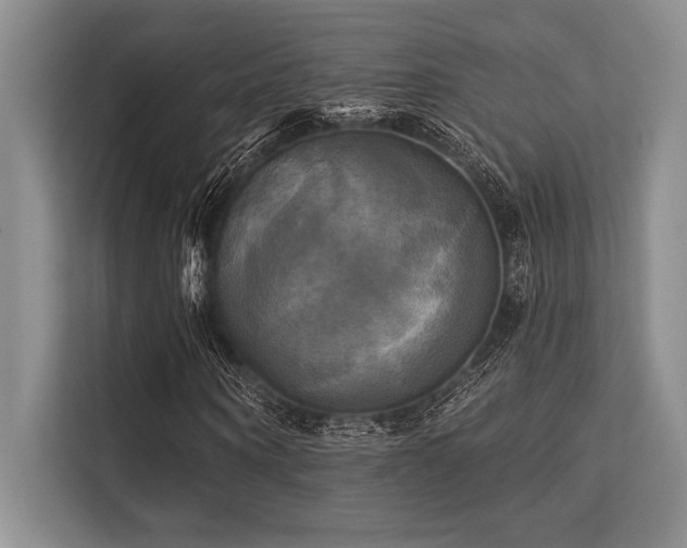 X0000113300866200909211119