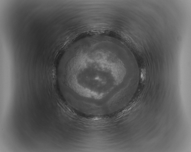 X0000113300867200909211119