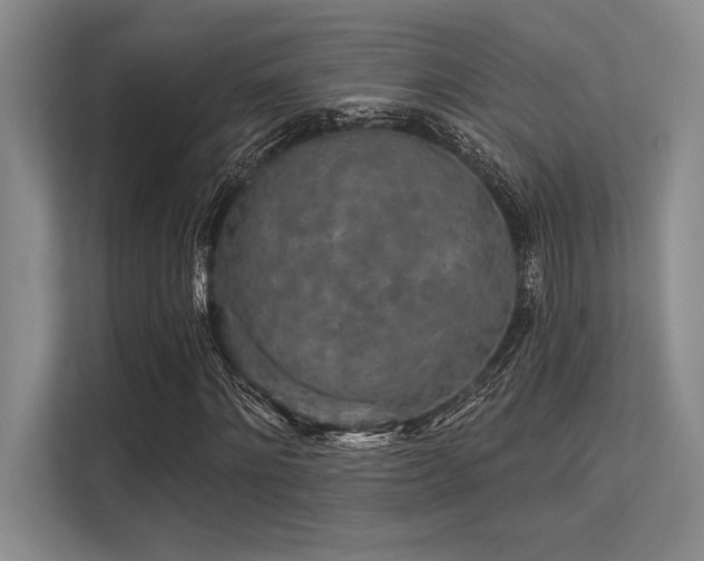 X0000113300868200909211119