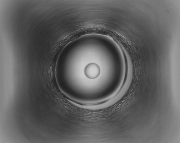 X0000113300869200909211119